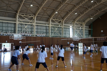 女子バレーボール