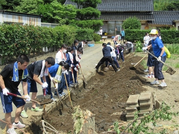 ボランティア活動