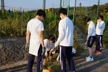 清掃活動の様子