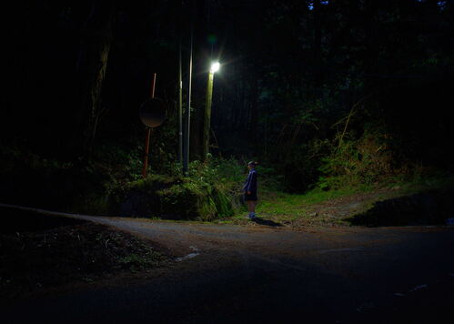 よみうり写真大賞受賞作品