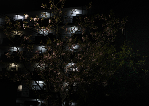 「夜を灯す」１